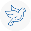 Bird Prevention North Lincolnshire