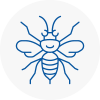 North Lincolnshire Hornet Nest Removals