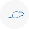 Mice Exterminators In North Lincolnshire