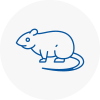 Rat Control North Lincolnshire