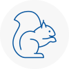 North Lincolnshire Rodent Removals
