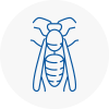 North Lincolnshire Wasp Nest Removal